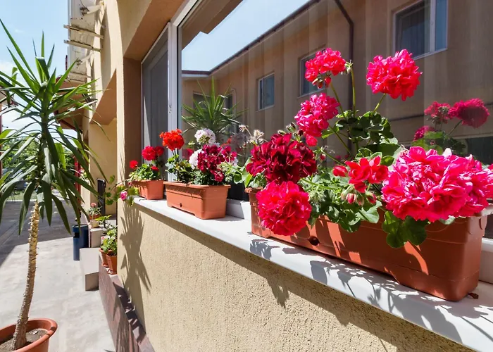 Vendégház Casa Dinii