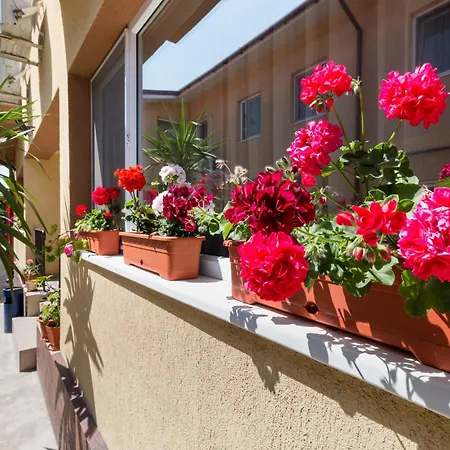 بيت ضيافة Casa Dinii