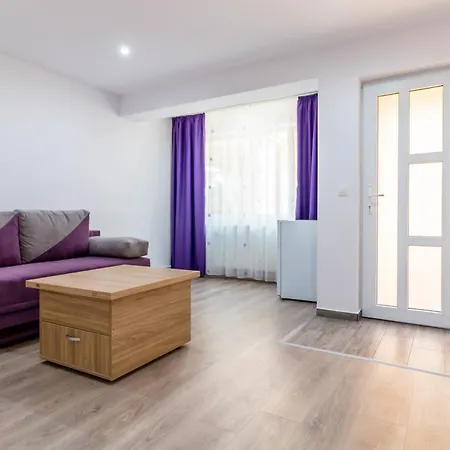 Pensiune Casa Dinii 3*